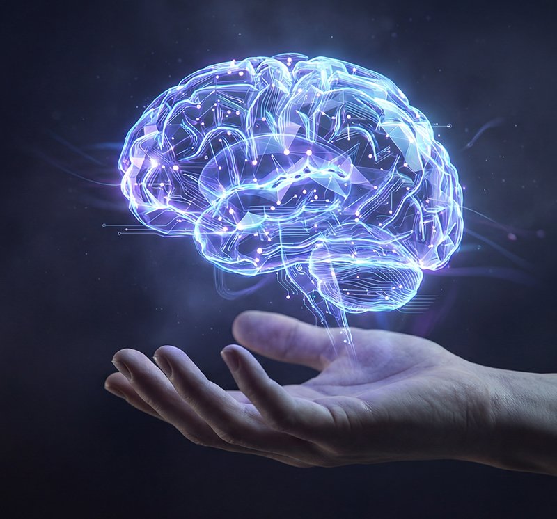 CNS