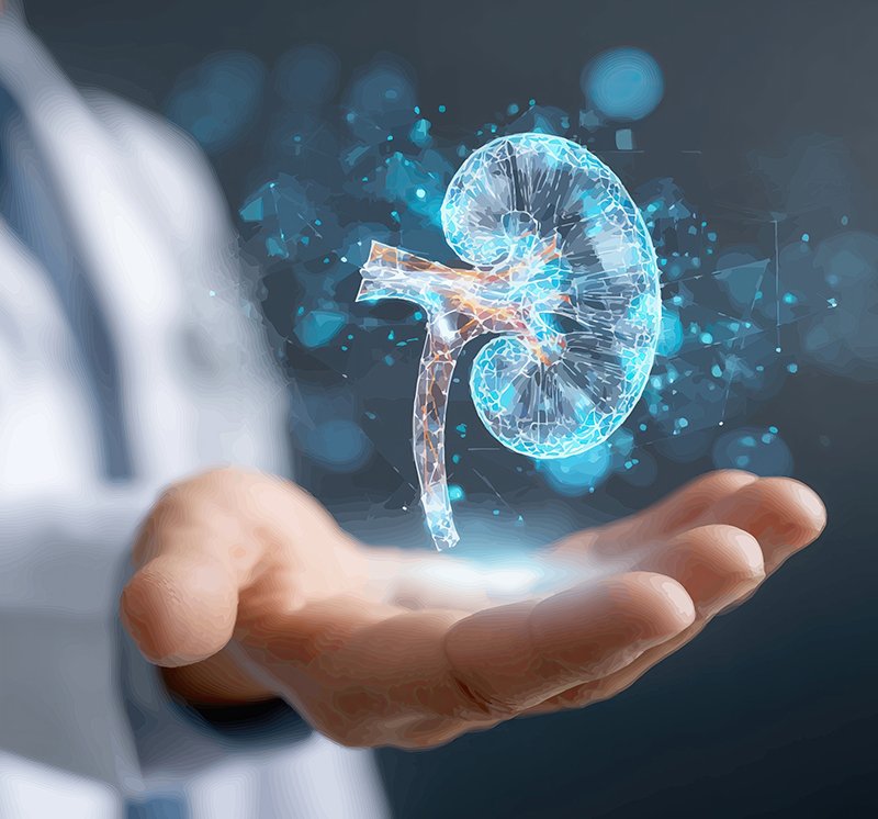 NEPHROLOGY